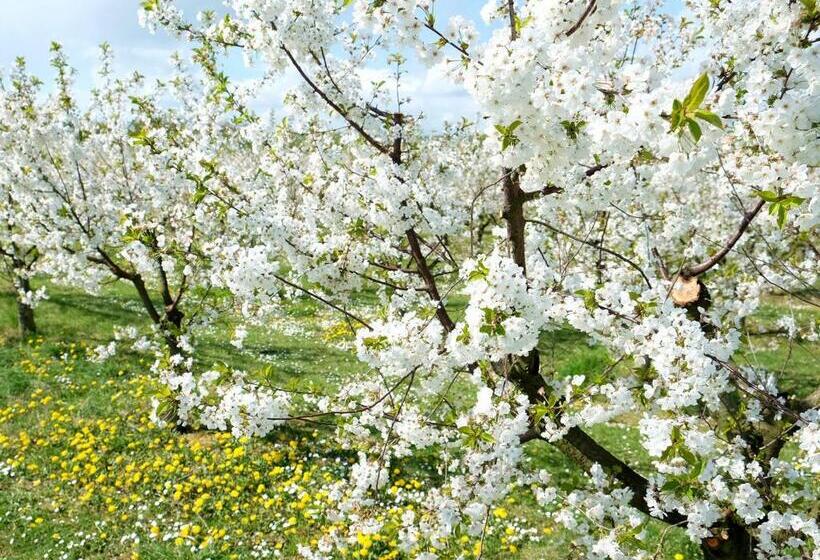 Bed and Breakfast Villa Orchard Frankfurt