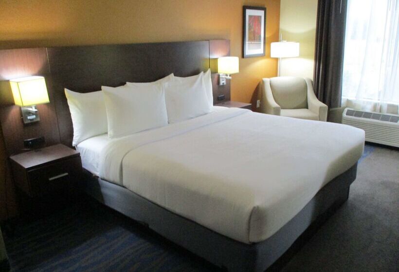 Best Western St. Louis Airport North Hotel & Suites