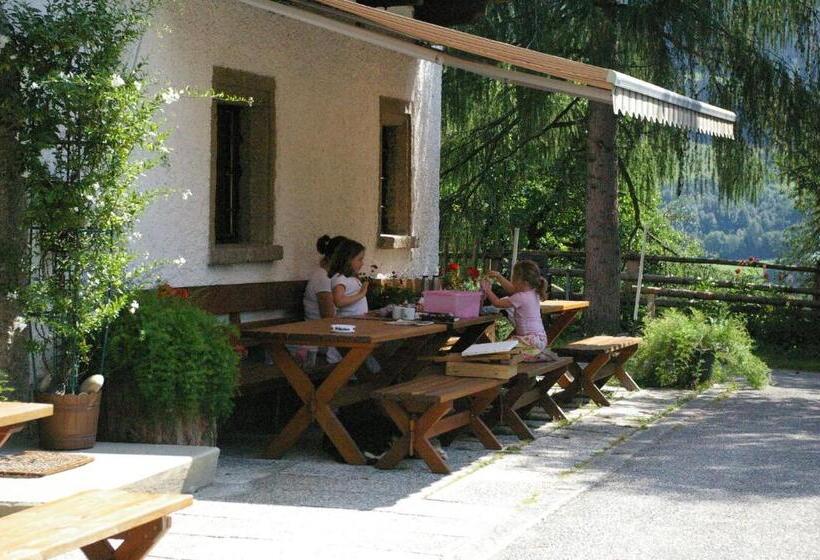 Bio Bauernhof Rettenbachgut