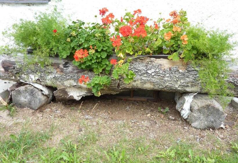 Bio Bauernhof Rettenbachgut