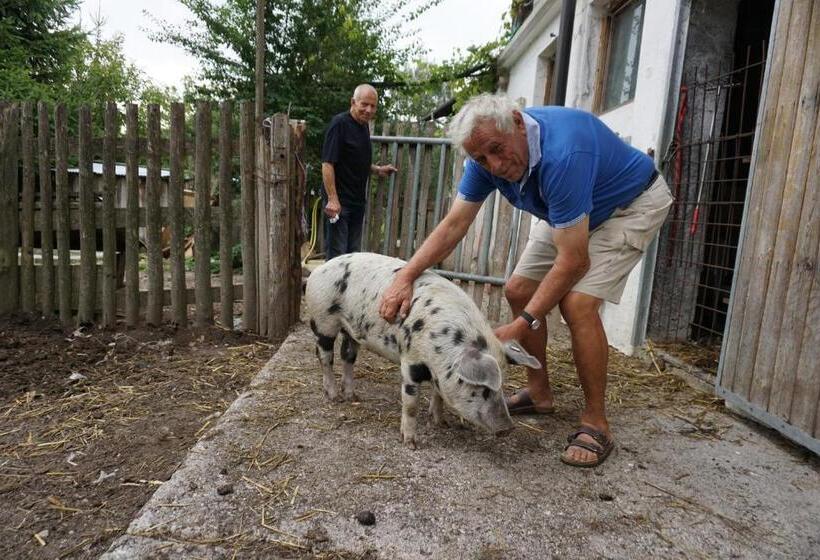 Bio Bauernhof Rettenbachgut