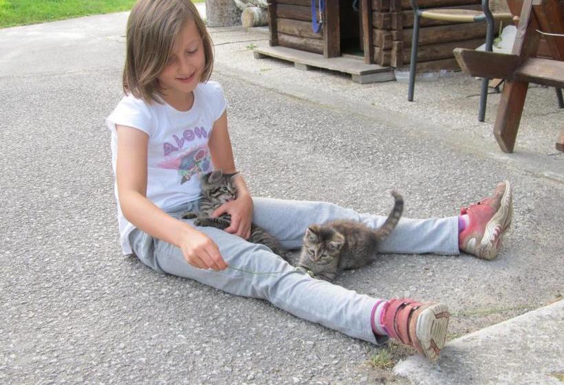 Bio Bauernhof Rettenbachgut