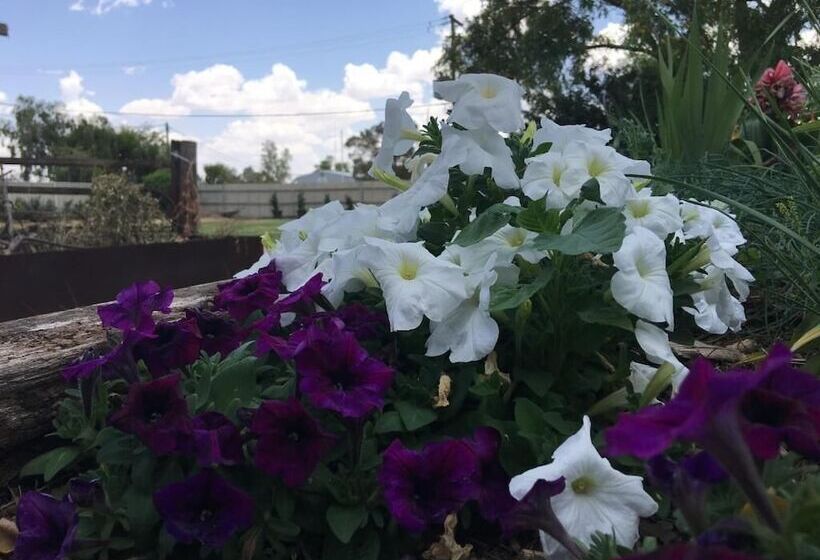 Club Boutique Hotel Cunnamulla