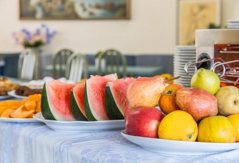 ホテル Aviano Palace