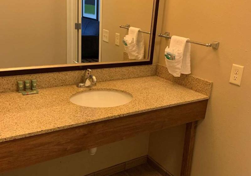 Отель Best Western North Bryant Inn