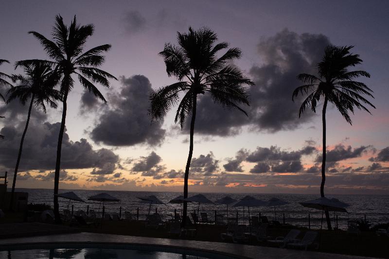 בית מלון כפרי Catussaba Suites Resort