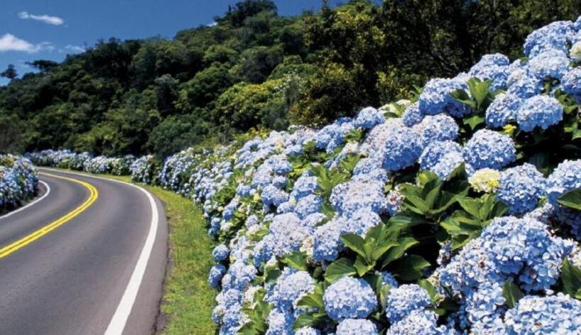 酒店 Cavalinho Branco