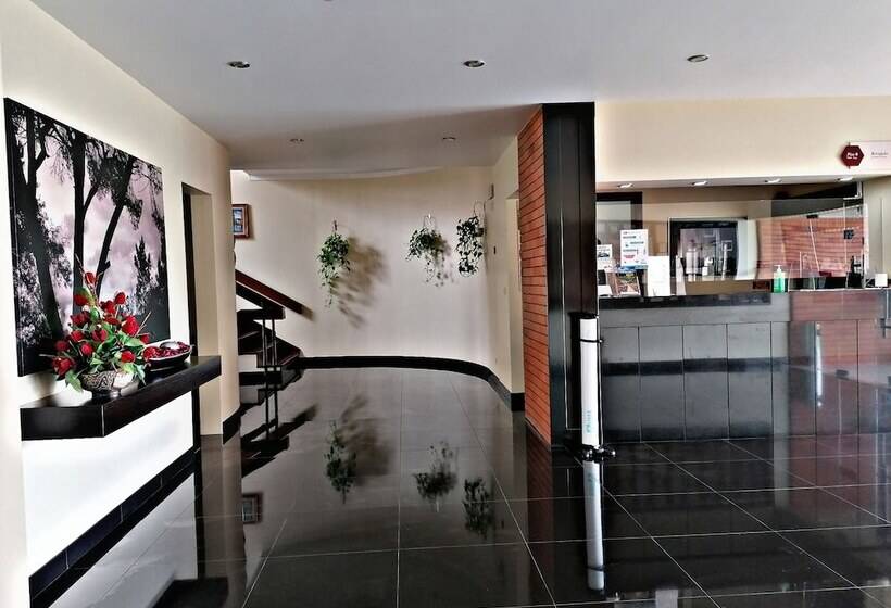 فندق Colmeia