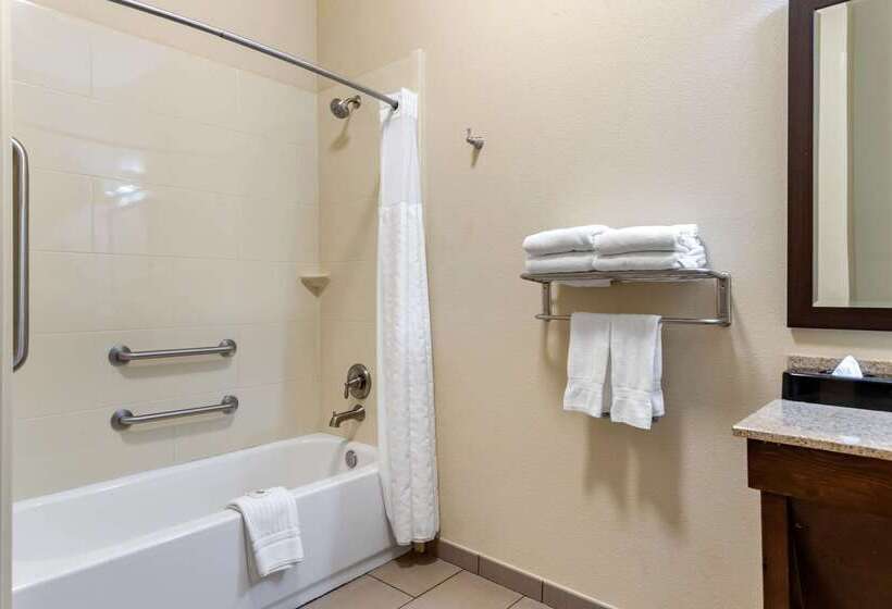 ホテル Comfort Inn & Suites Lakeside