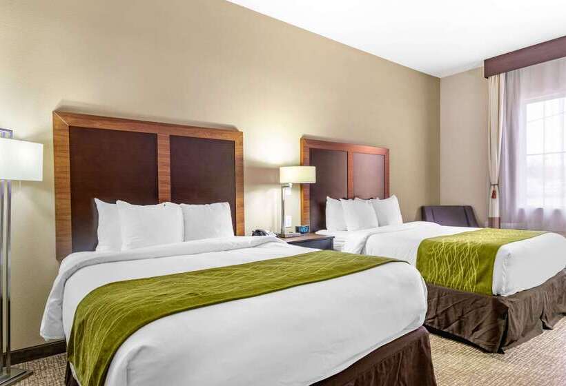 ホテル Comfort Inn & Suites Lakeside