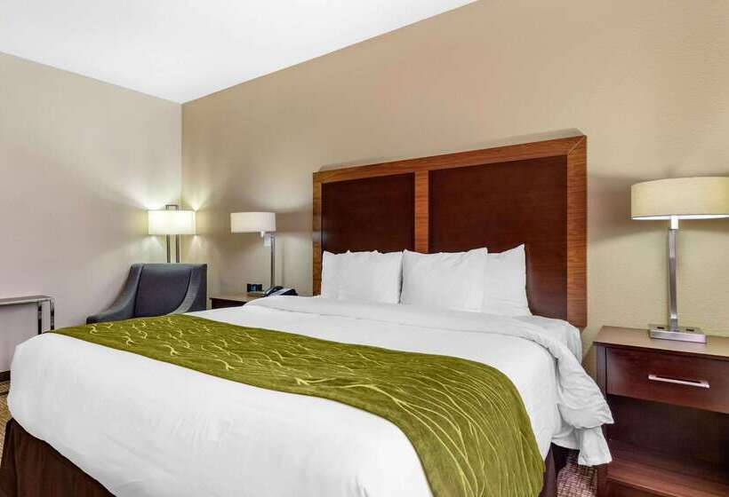 ホテル Comfort Inn & Suites Lakeside