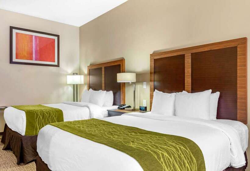 ホテル Comfort Inn & Suites Lakeside