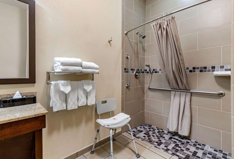 ホテル Comfort Inn & Suites Lakeside