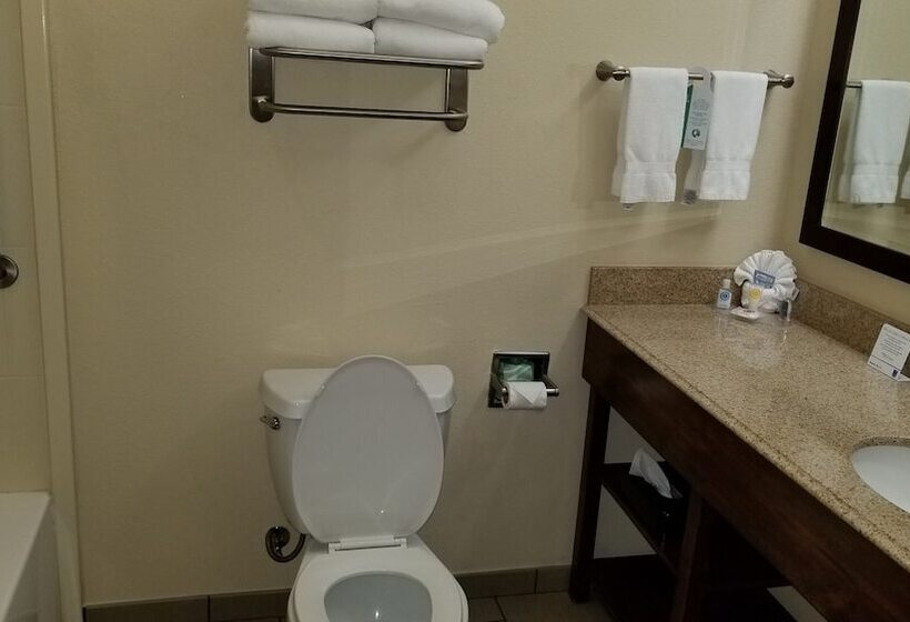 ホテル Comfort Inn & Suites Lakeside