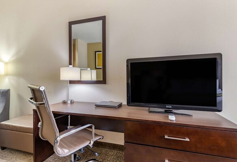 ホテル Comfort Inn & Suites Lakeside