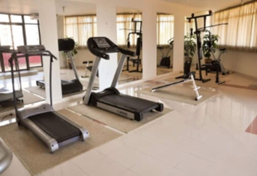 Отель Copas Executive