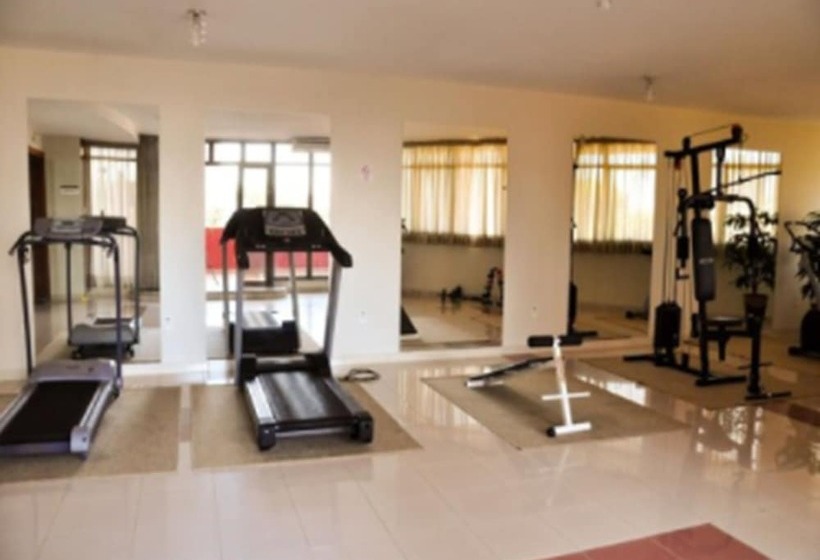 Отель Copas Executive