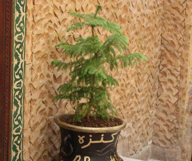 酒店 Dar La Bague De Kenza