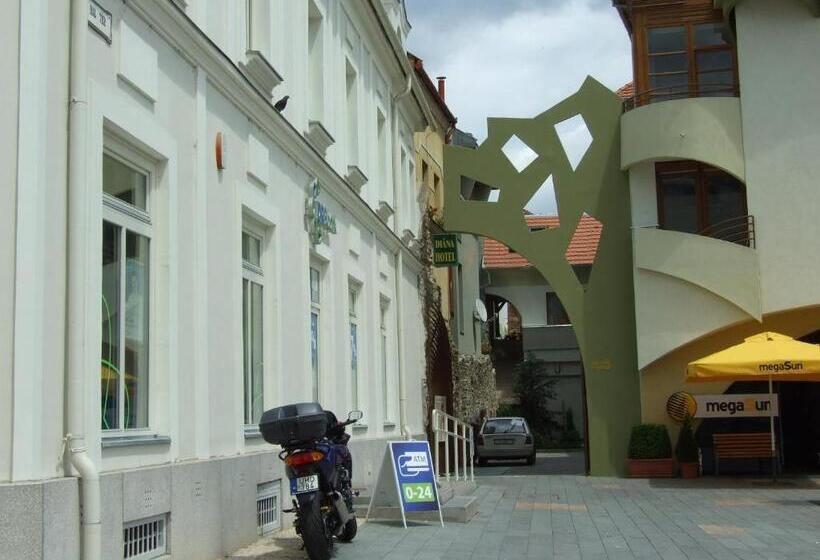 בית מלון כפרי Diána