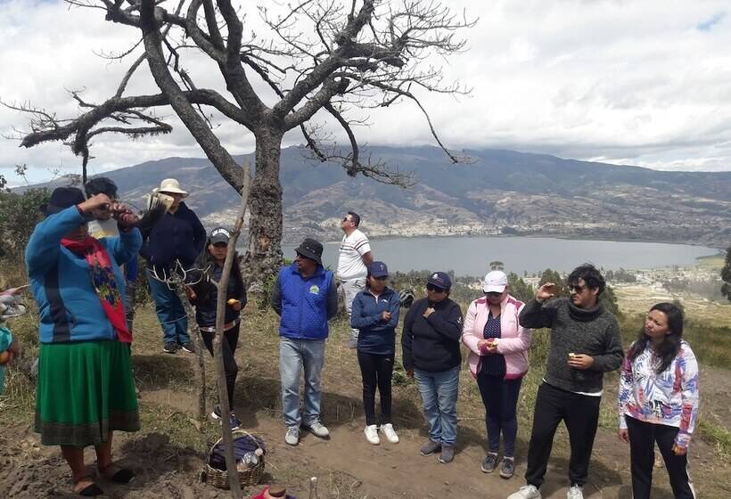 酒店 Green House Araque Inn