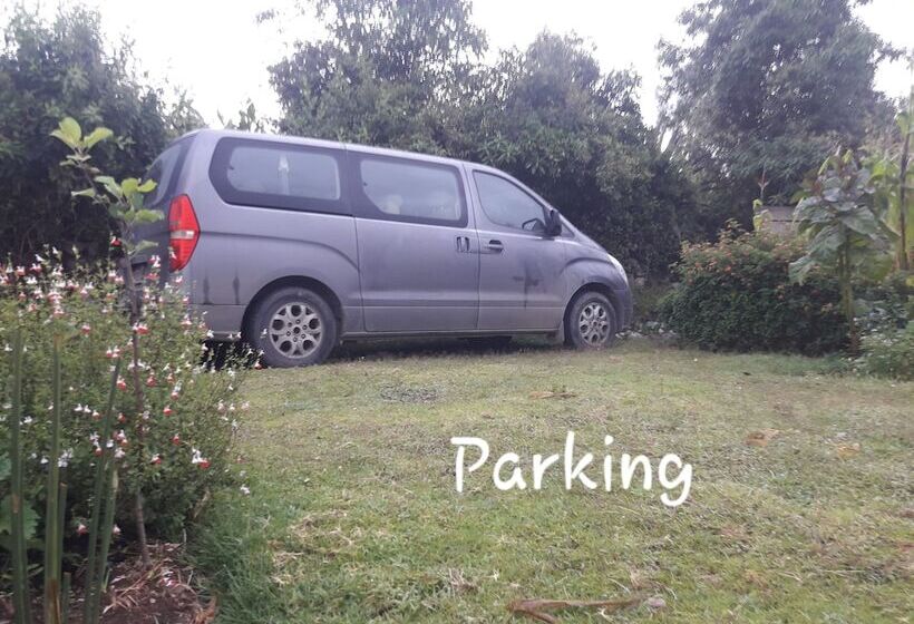 酒店 Green House Araque Inn