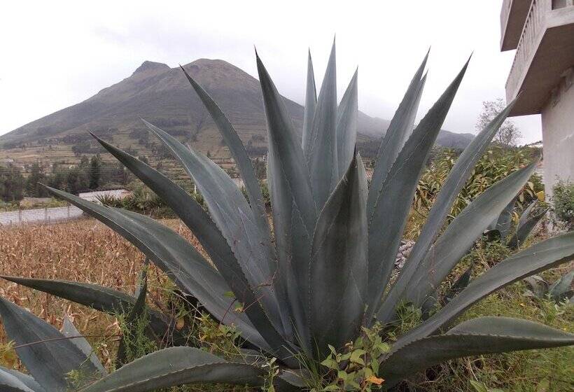 酒店 Green House Araque Inn