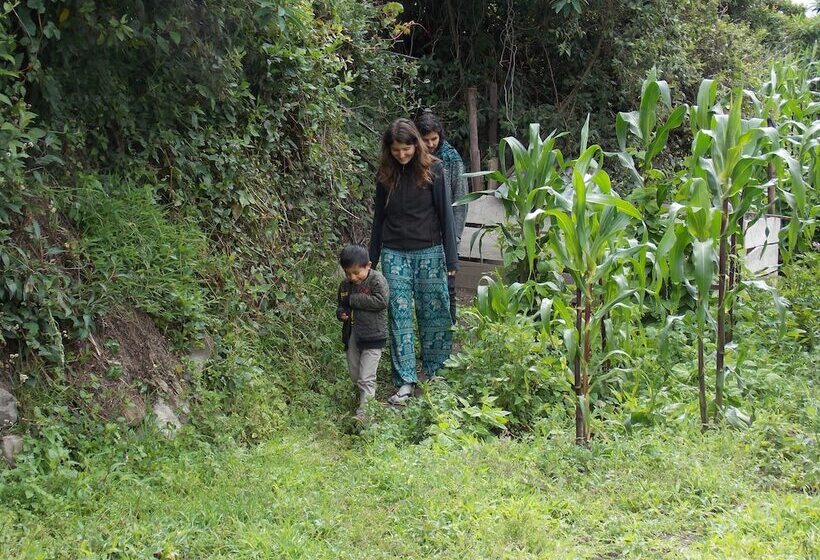 酒店 Green House Araque Inn