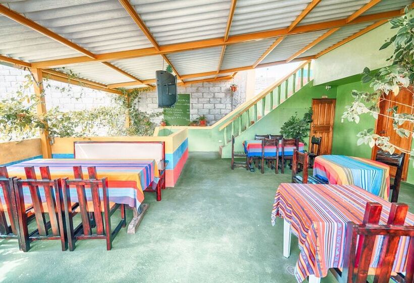 酒店 Green House Araque Inn