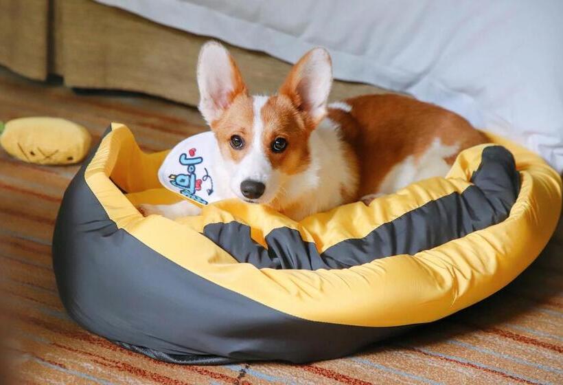 Отель Holiday Inn Resort Chaohu Hot Spring, An Ihg