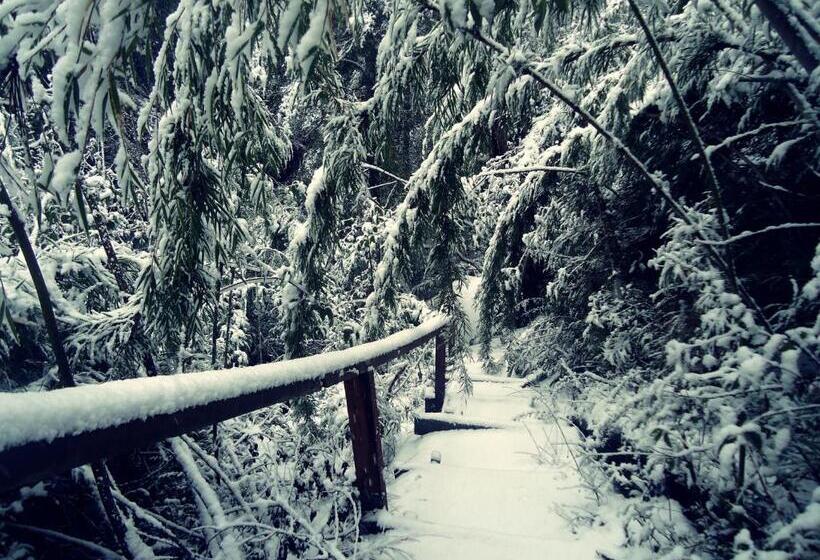 酒店 Hosteria Patagon