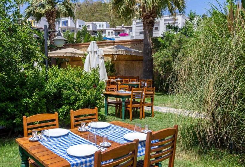 ホテル La Brezza Suite &