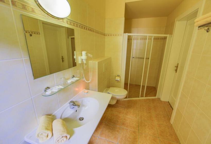 בית מלון כפרי Lázeňská Léčebna Mánes