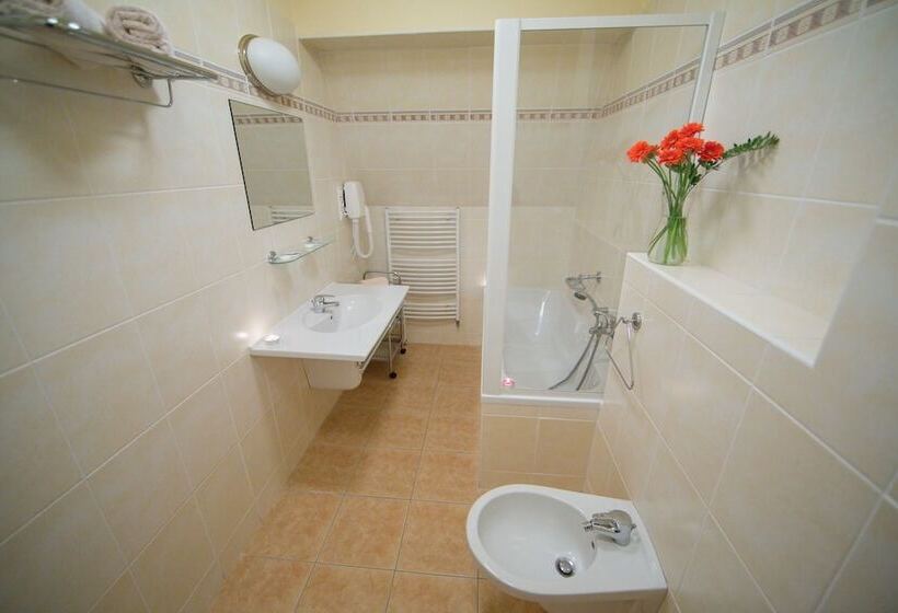 בית מלון כפרי Lázeňská Léčebna Mánes