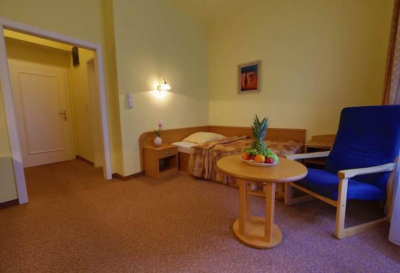 בית מלון כפרי Lázeňská Léčebna Mánes