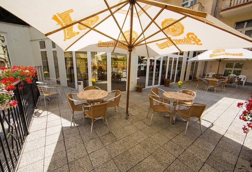 בית מלון כפרי Lázeňská Léčebna Mánes