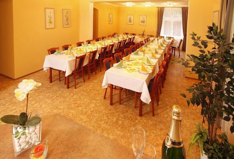 בית מלון כפרי Lázeňská Léčebna Mánes