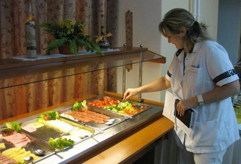 בית מלון כפרי Lázeňská Léčebna Mánes