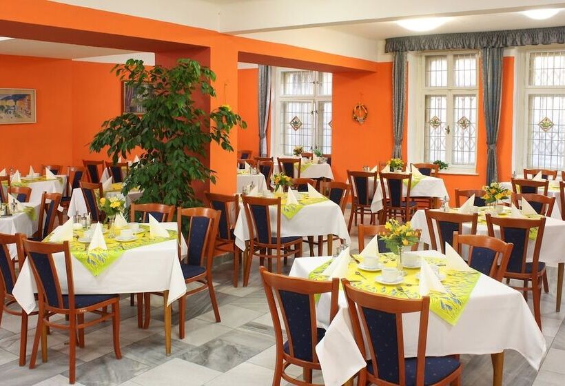 בית מלון כפרי Lázeňská Léčebna Mánes