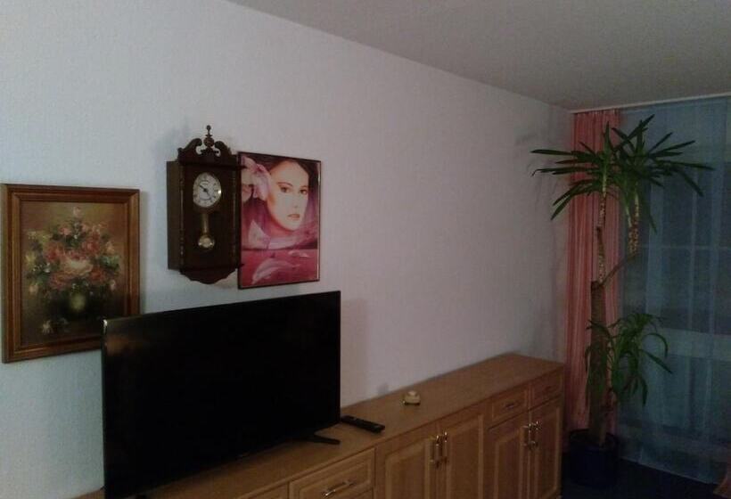 Отель Rodewisch