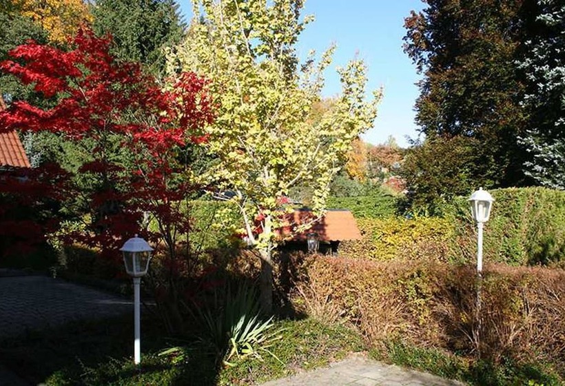 Отель Rodewisch