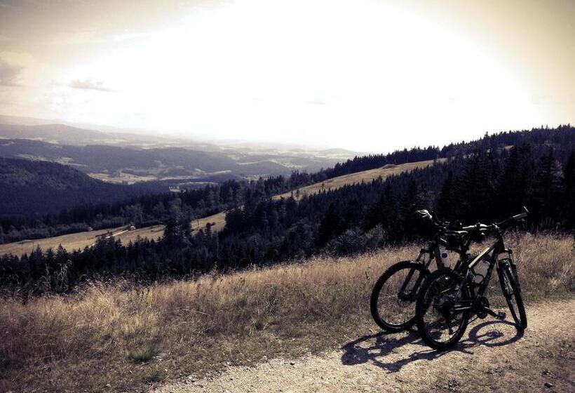 호텔 Schäfflerhof