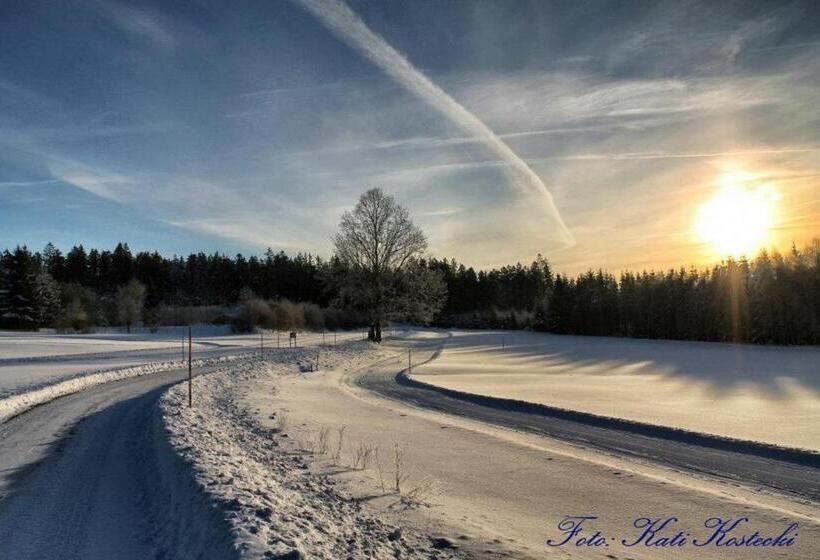 호텔 Schäfflerhof