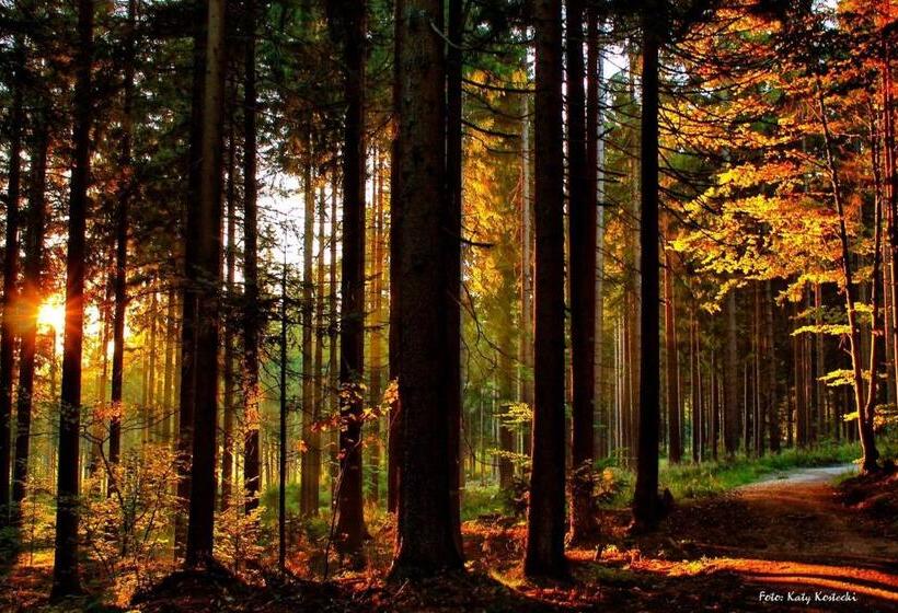 호텔 Schäfflerhof