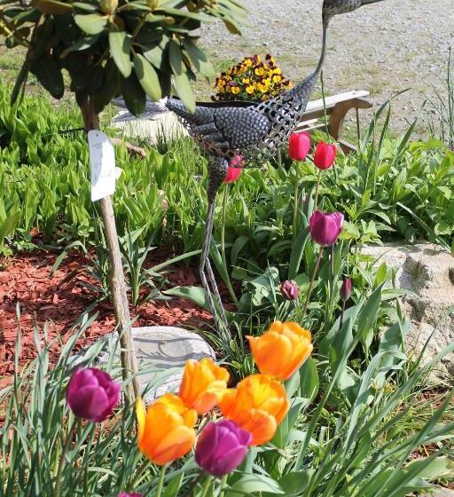 호텔 Schäfflerhof