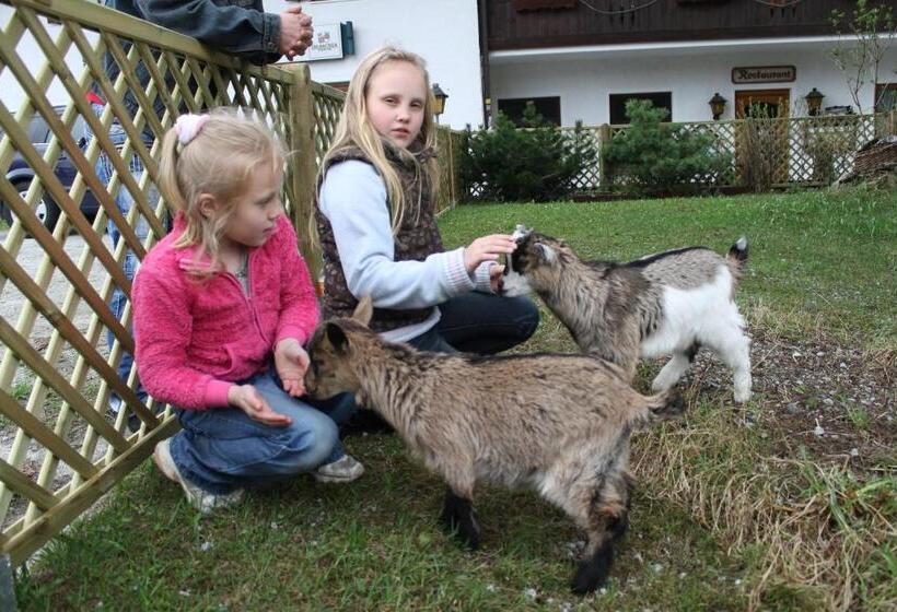 호텔 Schäfflerhof