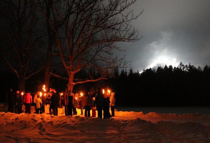 호텔 Schäfflerhof