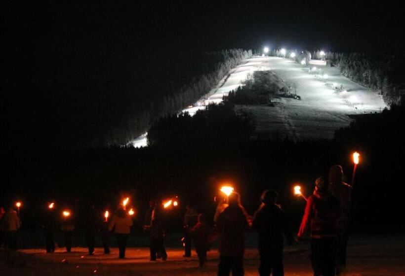 호텔 Schäfflerhof