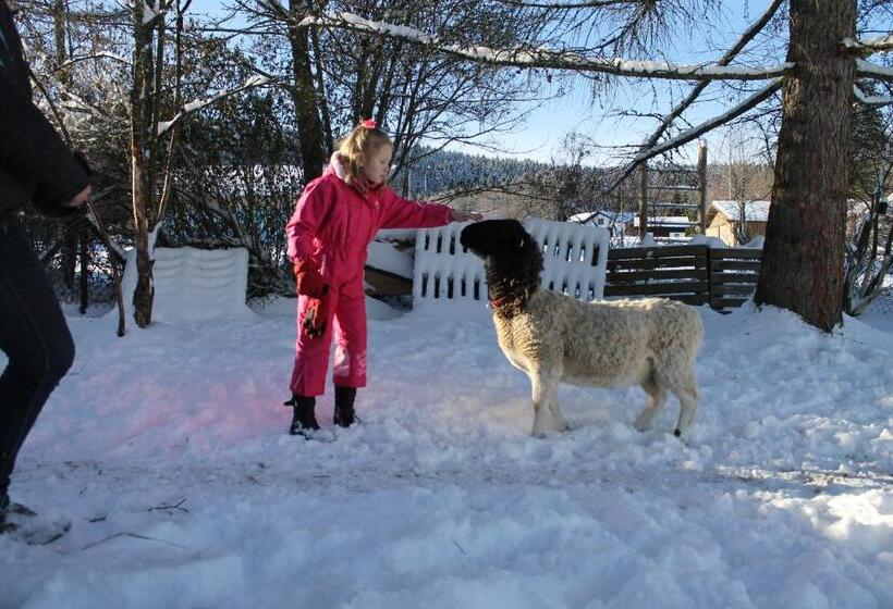 호텔 Schäfflerhof