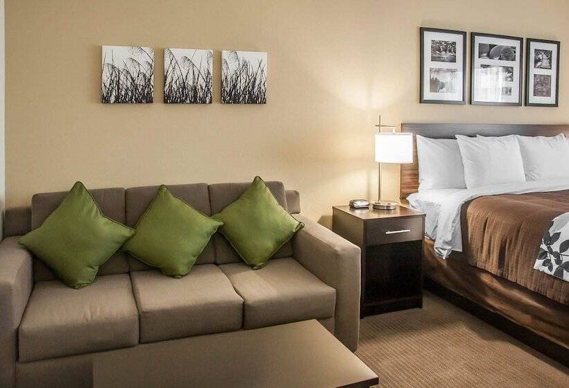 هتل Sleep Inn & Suites Devils Lake