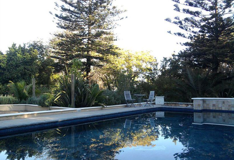 Somerset Villa Guesthouse